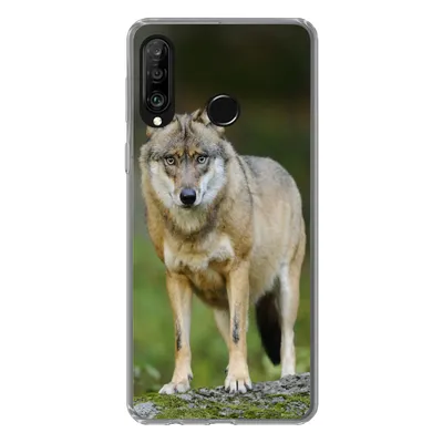 Produktbild von MuchoWow® Handyhülle Schutzhülle Hülle für Huawei P30 Lite Wolf - Asien - Pflanzen Silikon Softcase Handy Hülle - Handyhülle