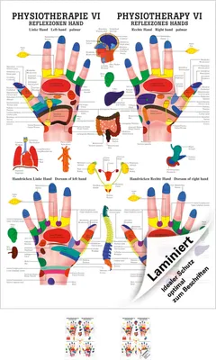Produktbild von Reflexzonen Hand Poster Anatomie 70x50 cm medizinische Lehrmittel