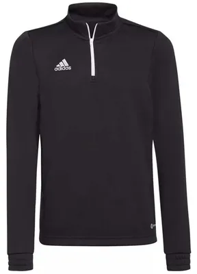 Image de Sweatshirt Adidas Entrada 22 pour Enfant