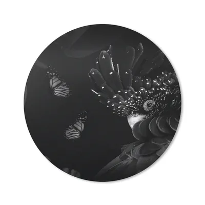 Produktbild von MuchoWow® Mauspad Mousepad Schmetterlinge - Pflanzen - Dschungel - Schwarz - Weiß 20x20 cm - Mousepads - Maus Mat - Pad - Mausunterlage - Schreibtischmatte
