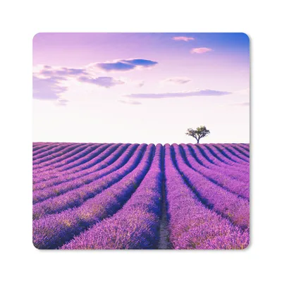 Produktbild von MuchoWow® Mauspad Mousepad Lavendel - Bäume - Lila - Blumen 30x30 cm - Mousepads - Maus Mat - Pad - Mausunterlage - Gaming