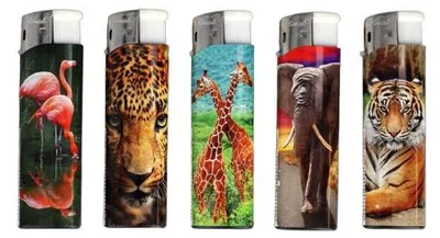 Immagine prodotto di set di 5 accendini piezoelettrici a gas regolari con animali selvatici