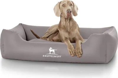 Produktbild von Knuffelwuff Kunstleder Hundebett Sidney XL 105 x 75cm Grau