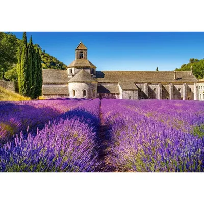 Produktbild von Castorland Provence, Frankreich - 1000 Teile