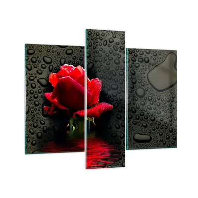 Produktbild von Bilder auf glas - Blume rote rose wasser tau - 95x80cm - Glasbilder - Wandbilder - Kunstdruck - zum Aufhängen bereit - Wanddekoration aus Glas - Glas Bilder - Wandbild auf Glas - GCB95x80-2367