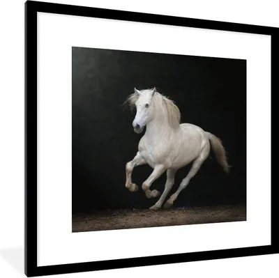 Produktbild von MuchoWow® Gerahmtes Poster Pferde - Schwarz - Porträt 40x40 cm - Poster mit Schwarzem Bilderrahmen Wandposter Rahmen Foto Bilder - Poster - Plakat im Rahmen