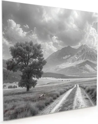 Produktbild von Küchenrückwand Spritzschutz Glas mit Motiv Berglandschaft Weg 40 x 40 cm