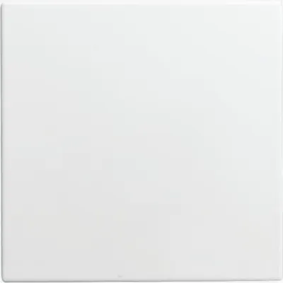 Imagen del producto de BUSCH JAEGER, placa de registro para persiana, color blanco alpino, modelo 1576 C-914, referencia 1582-0-0401
