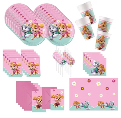 Produktbild von 75-tlg. Paw Patrol Skye & Everest Partyset für Kindergeburtstag
