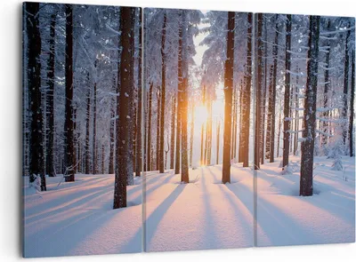 Produktbild von Bild auf Leinwand - Leinwandbild - Wald Winter Schnee - 105x70cm - Wand Bild - Wanddeko - Leinwanddruck - Bilder - Kunstdruck - Wanddekoration - Leinwand bilder - Wandkunst - CE105x70-3629
