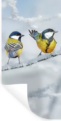 Produktbild von MuchoWow® Wandtattoo Wandsticker Wandaufkleber Vogel - Kohlmeise - Winter - Schnee - Zweige 20x40 cm Selbstklebend und Repositionierbar - Selbstklebend - Fototapeten