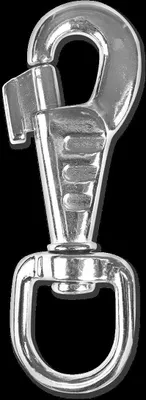 Zdjęcie produktu dla Waldhausen Lunge Carabiner Silver Srebrny Jeden rozmiar