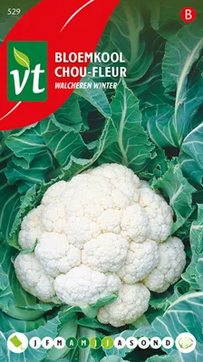 Produktbild von Blumenkohl Walcheren Winter Samen - Ca. 0,5 gr | VT_529