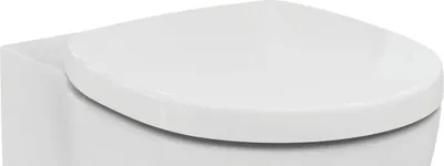 A close-up view of a white toilet seat.