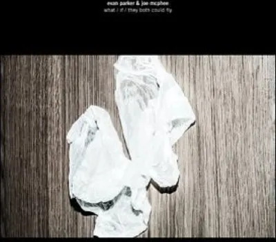 Produktbild von Parker,Evan & McPhee,Joe-What/If/They Both Could F