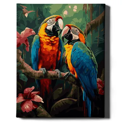 Produktbild von Oh Art! – Malen nach Zahlen Set Papageien – 40x50cm, mit Holzrahmen und Pinseln DIY