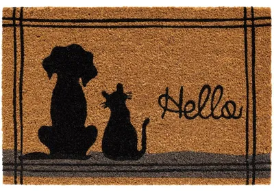 Image de Tapis de coco Hello slogan chat chien comme tapis de propreté extérieur