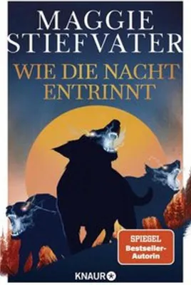 Produktbild von Wie die Nacht entrinnt