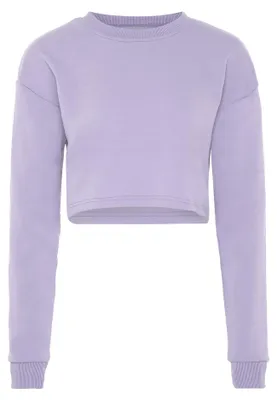 Obrázek produktu pro Dámská mikina altiplano, model 74332072-AL05, barva: lila, velikost: L