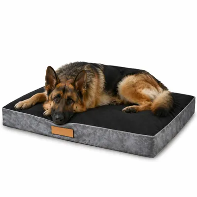 Produktbild von Dogeste Hundebett XXL für große Hunde als Hundekissen waschbar