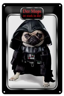 Produktbild von Blechschild Spruch 20x30cm der Mops ist stark in dir Hund