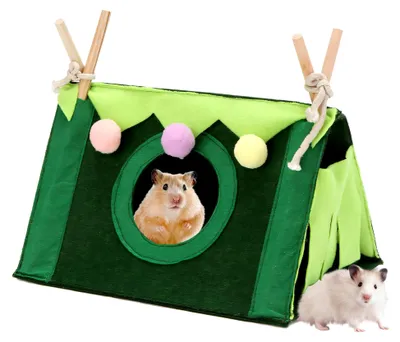 Produktbild von Meerschweinchenhaus, Kuschelhöhle für Meerschweinchen, Bett für Chinchillas, Zubehör für Ratten, Spielzeughaus, Zelt, Nest für Frettchen, Chinchillas, Igel, Hamster, Gleiter, Ratten (Grün)