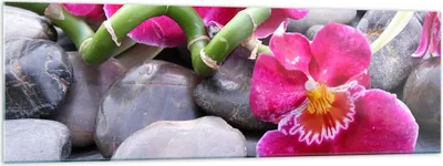 Produktbild von Bilder auf glas - Asiatisch bambus orchidee steine - 160x50cm - Glasbilder - Wandbilder - Kunstdruck - zum Aufhängen bereit - Wanddekoration aus Glas - Glas Bilder - Wandbild auf Glas - GAB160x50-0465