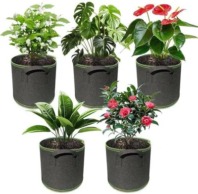 Produktbild von Pflanzenanzuchtbeutel 10 Gallonen 5er-Set aus Vliesstoff