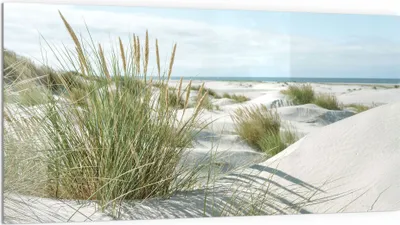 Produktbild von DEQORI Küchenrückwand Glas 100x50 cm 'Dünen an Nordseeküste' Spritzschutz Bad Rückwand