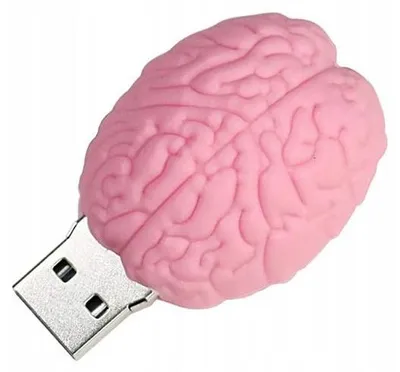 Produktbild von DIAWAY Gehirn USB-Stick 64GB - Schneller Datenspeicher