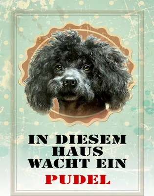 Produktbild von vianmo Holzschild 40x30 cm Hund in diesem Haus wacht ein Pudel