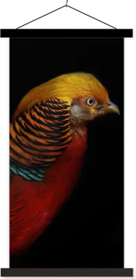 Produktbild von MuchoWow® Textilposter Vogel - Federn - Schwarz - Porträt 40x80 cm mit schwarzem Rahmen - Wandemalerei