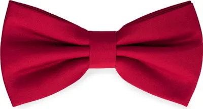 Produktbild von Ladeheid Elegante Herren Fliege - Hochwertig Matt Verstellbar BMM (12cm x 6cm)