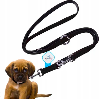 Produktbild von MyPetShop Verstellbare Trainingsleine für Hunde 5m