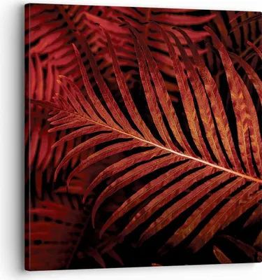 Produktbild von Bild auf Leinwand - Leinwandbild - Einteilig - Rot Blätter Palmen - 30x30cm - Wand Bild - Wanddeko - Wandbilder - Leinwanddruck - Bilder - Wanddekoration - Leinwand bilder - Wandbild - AC30x30-4816