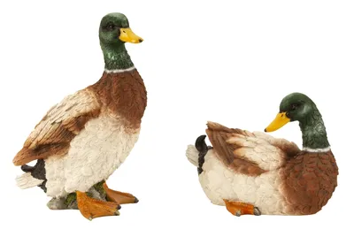 Produktbild von Dekofiguren Entenpaar Aus Polyresin 2er Set Stehend Und Liegend 21cm