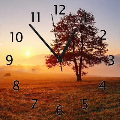 Produktbild von Wallario Design Wanduhr Sonnenaufgang über der Wiese mit Nebel aus Echtglas, Größe 30 x 30 cm