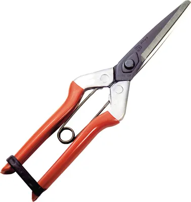 Zdjęcie produktu dla Wolfpack Tijeras Recolectar Ajos 1 Mano P-1702 210 mm.