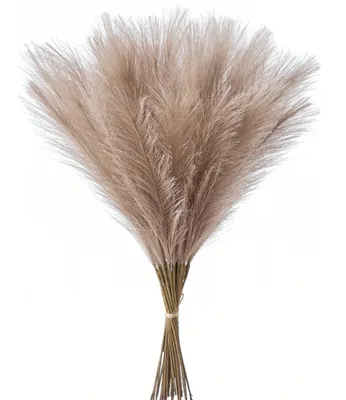 Immagine prodotto di Erba della pampa artificiale 20 pezzi fronde di canna decorative marroni