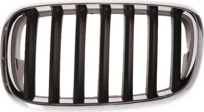 Produktbild von BLIC 6502-07-0096991P Kühlergrill Frontgrill für BMW X5 (E70) Links Chrom/Schwarz