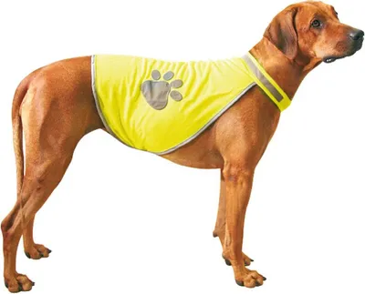 Produktbild von SwissPet Sicherheitsweste für Hunde reflektierender Hundemantel waschbar