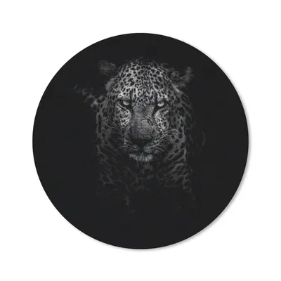 Produktbild von MuchoWow® Mauspad Mousepad Leopard - Schwarz - Weiß 30x30 cm - Mousepads - Maus Mat - Pad - Mausunterlage - Tischunterlage - Schreibtischmatten