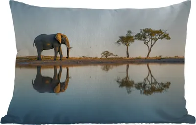 Produktbild von MuchoWow® Outdoor Kissen - Elefant - Wasser - Bäume - Tiere - Natur - 50x30 cm - Wetterfest - Lounge Kissen - Sofa kissen - Wohnzimmer Dekoration
