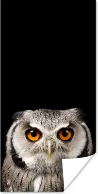 Produktbild von MuchoWow® Poster Porträt Eule 20x40 cm - Plakat - Foto