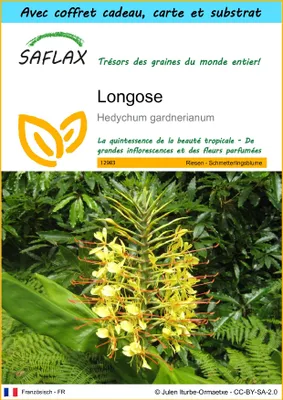 Image de SAFLAX Ensemble-cadeau - Longose - 10 graines - Hedychum
