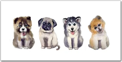 Produktbild von Coloray Bild aus Leinwand 140x70 Leinwand Dekoration - Haustiere Hunde