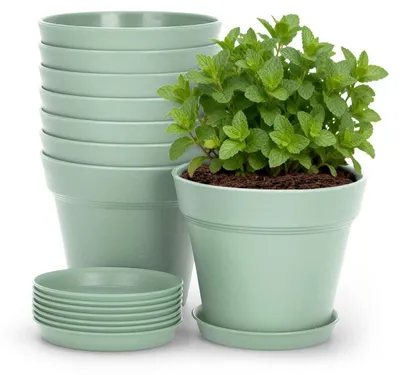 Image de Pots de fleurs avec soucoupes, lot de 8, 10 cm, plastique, vert