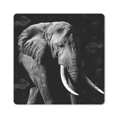 Produktbild von MuchoWow® Mauspad Mousepad Elefant - Zähne - Schwarz - Weiß 30x30 cm - Mousepads - Maus Mat - Pad - Mausunterlage - Gaming
