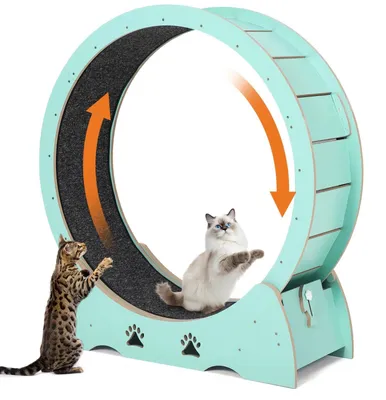Image de Roue d'exercice pour chat - Roue d'entraînement en bois - Diamètre : 100 cm - Tapis de course amovible - Silencieuse et stable - Vert menthe