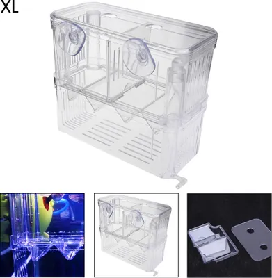 Image de Acrylfisch -Zuchtaquarium Boîte d'isolation à double couche pour bébé Beilubator à filet suspendu